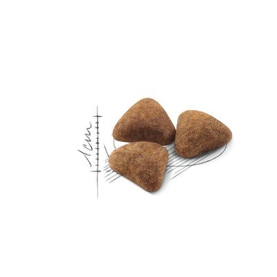 ROYAL CANIN | Alimento seco para gatos adultos Indoor27