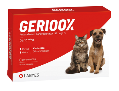 Labyes | Gerioox
