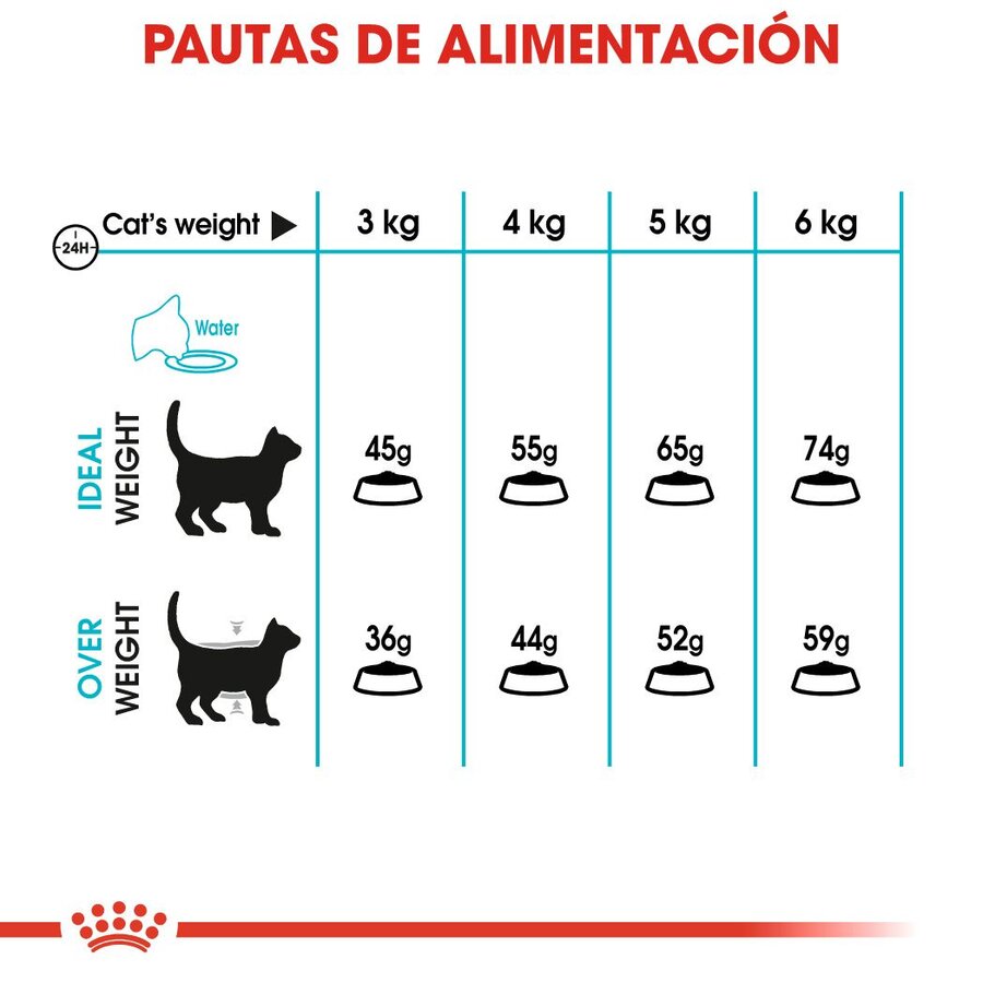 ROYAL CANIN | Alimento seco para gatos Urinary Care