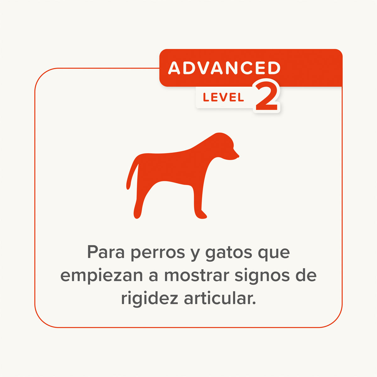 Beaphar Joint Paste Flexifit Dog — imagen 4