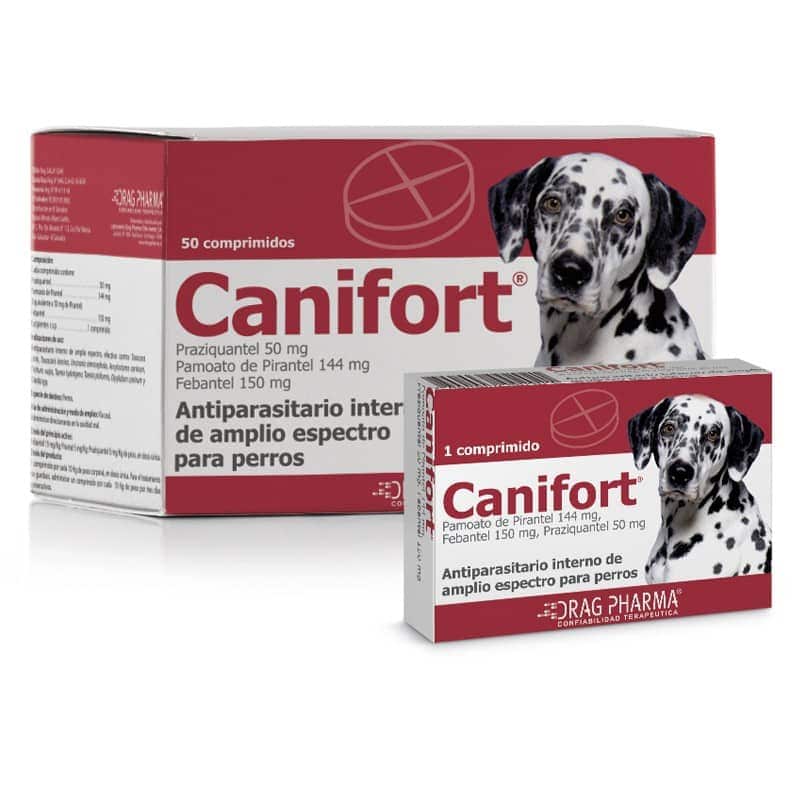 Canifort - imagen principal