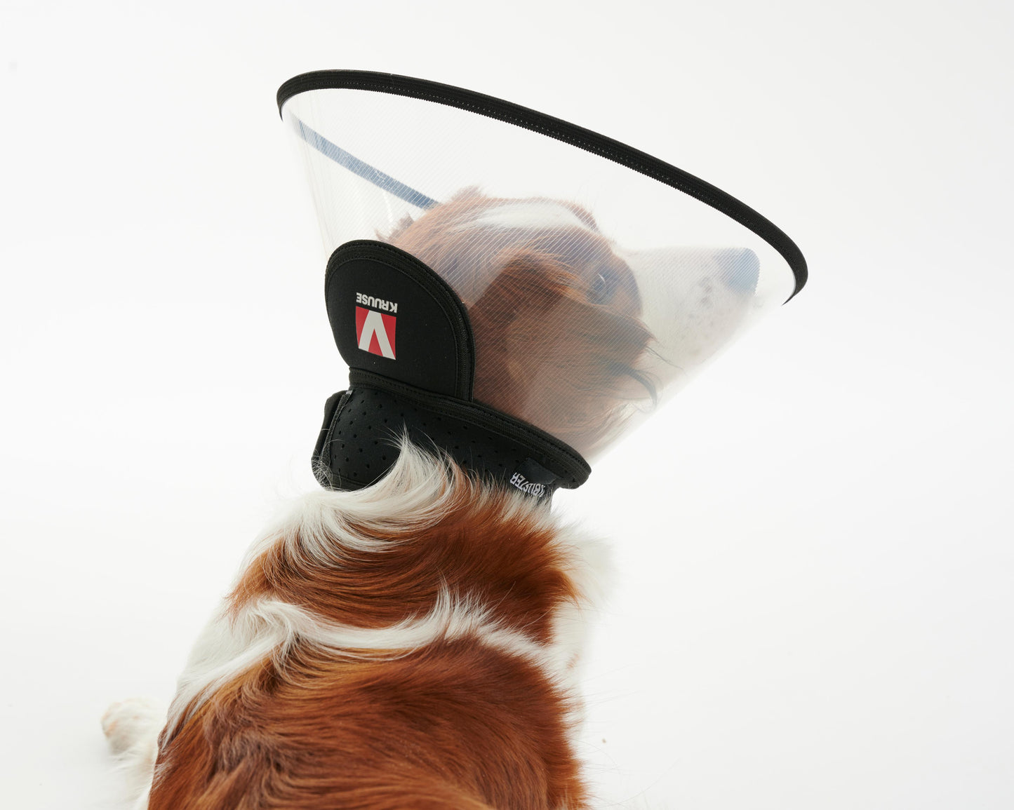 KRUUSE | Collar isabelino BUSTER complete - secondary packshot or packaging