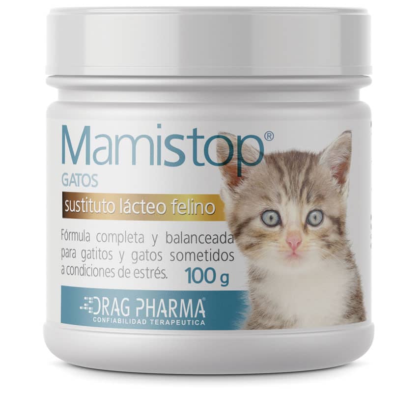 Mamistop Gatos - imagen principal