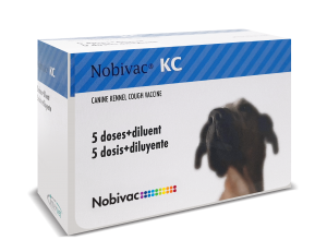 MSD Nobivac KC