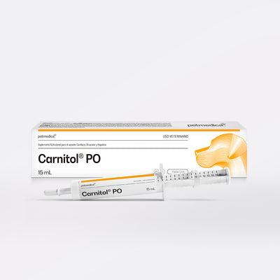 Agrovet Market | Carnitol PO L-carnitina en pasta oral para perros y gatos 15 ml – Jeringa de 15 ml