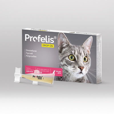 Agrovet Market | Profelis Drop On pipetas antipulgas y antigarrapatas para gatos (caja x 5 pipetas de 1 mL) – Caja x 5 pipetas de 1 mL