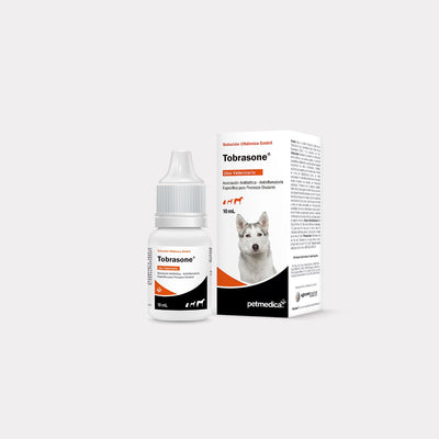 Agrovet Market | Tobrasone tobramicina y dexametasona solución oftálmica para perros y gatos 10 ml – 10 ml