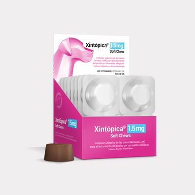 Agrovet Market | Xintópica oclacitinib tabletas masticables antipruriginosas para perros (caja x 32) – 1,5 mg · caja x 32 tabletas