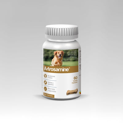 Artrosamine condroprotector x 60 tabletas · frasco frontal