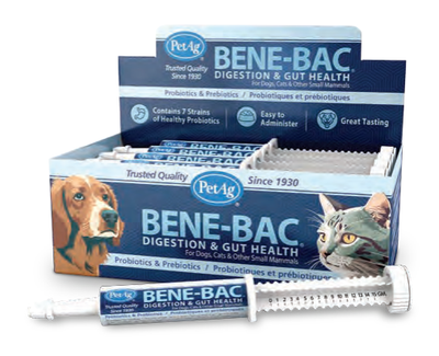 Bene-Bac Pro Pack Display: caja de 12 jeringas de 15 g, fotografía oficial del catálogo PetAG 2026