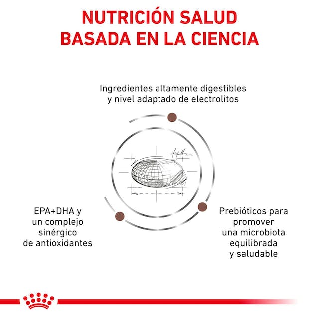 ROYAL CANIN | Alimento seco para perros Gastrointestinal