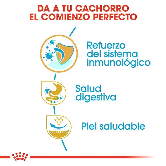 ROYAL CANIN | Alimento seco para perros cachorros Bulldog francés