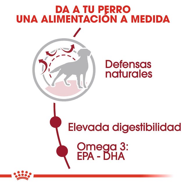 ROYAL CANIN | Alimento seco para perros adultos de razas medianas