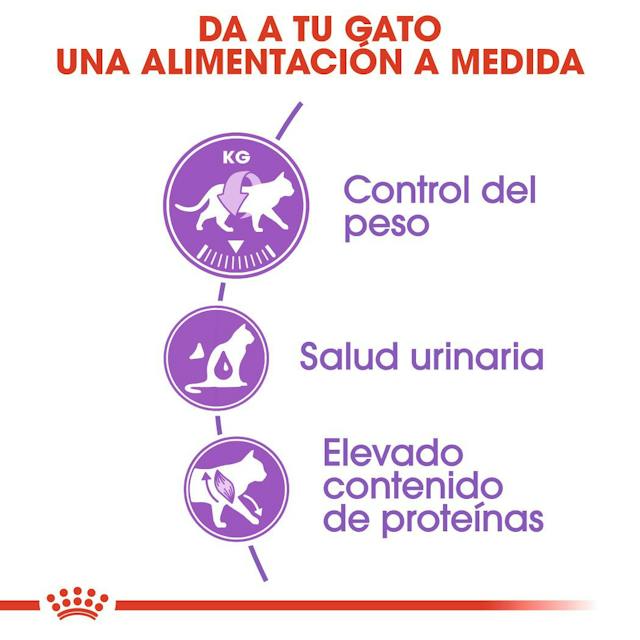 ROYAL CANIN | Alimento seco para gatos adultos Sterilized37