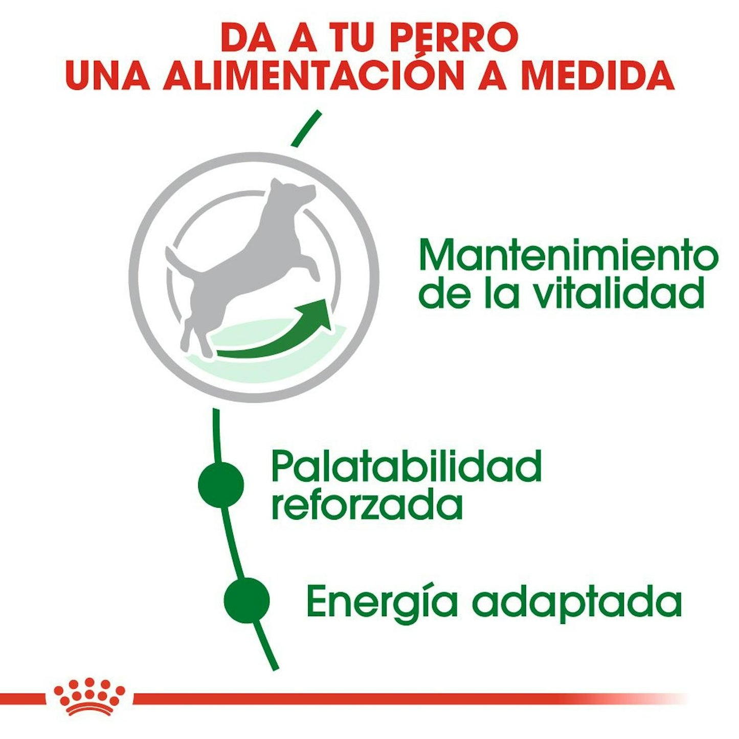 BENEFICIOS