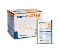 Entero-Chronic - imagen principal