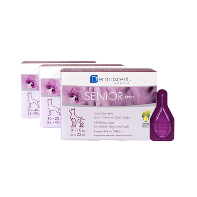 Dermoscent SENIOR Spot (antes Silver Spot-On): cajas de las tres presentaciones y pipeta