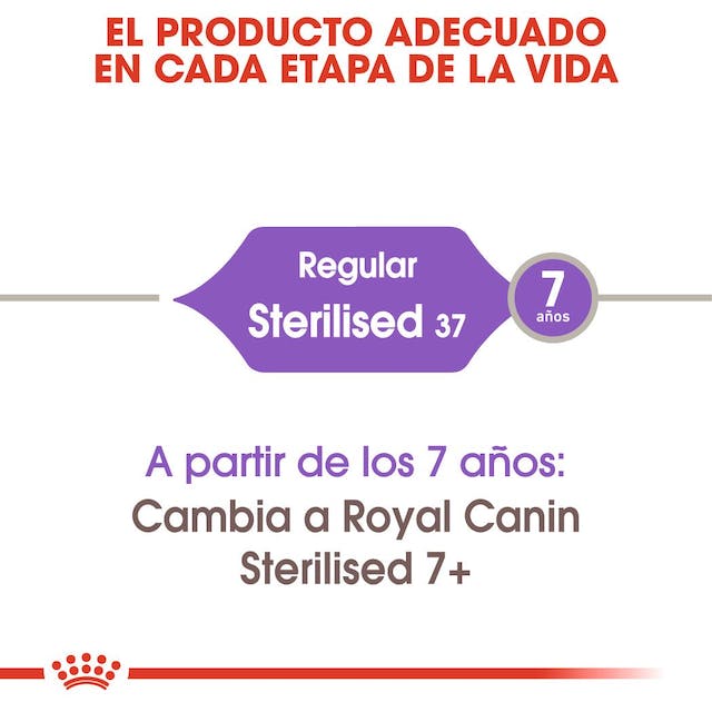 ROYAL CANIN | Alimento seco para gatos adultos Sterilized37
