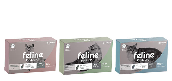 Labyes | Feline Fullspot