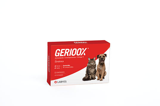 Labyes | Gerioox