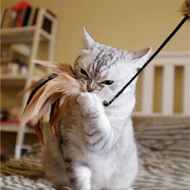 GiGwi | Juguete para gatos Varilla para gato 'varilla con plumas' cola de felpa — imagen oficial adicional