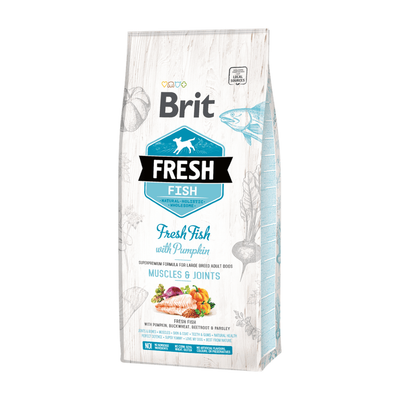 Brit Fresh Fish with Pumpkin Adult Large — envase oficial referencial