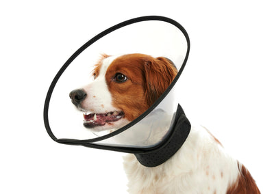 KRUUSE | Collar isabelino BUSTER complete - principal packshot