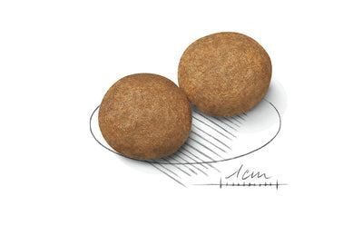 ROYAL CANIN | Alimento seco para perros adultos de razas medianas