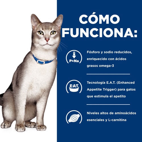 Hill's Prescription Diet | Alimento seco para gatos Kidney Care k/d