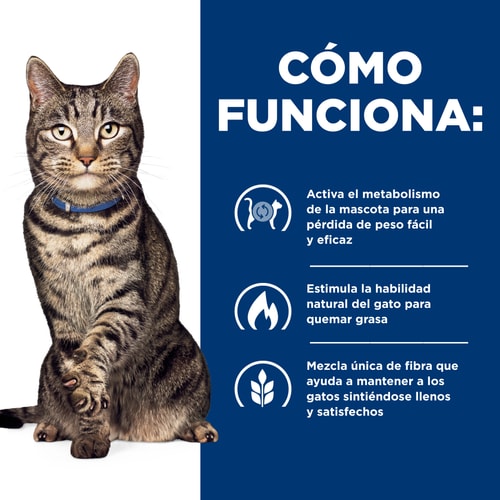Hill's Prescription Diet | Alimento seco para gatos Metabolic