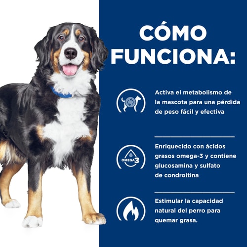 Hill's Prescription Diet | Alimento seco para perros Metabolic + Mobility j/d