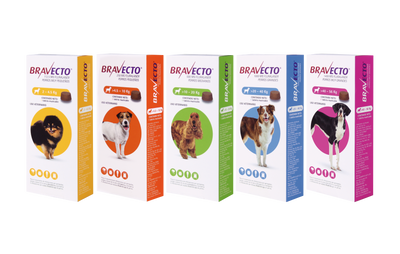 Bravecto masticable — cinco presentaciones por peso, imagen oficial MSD