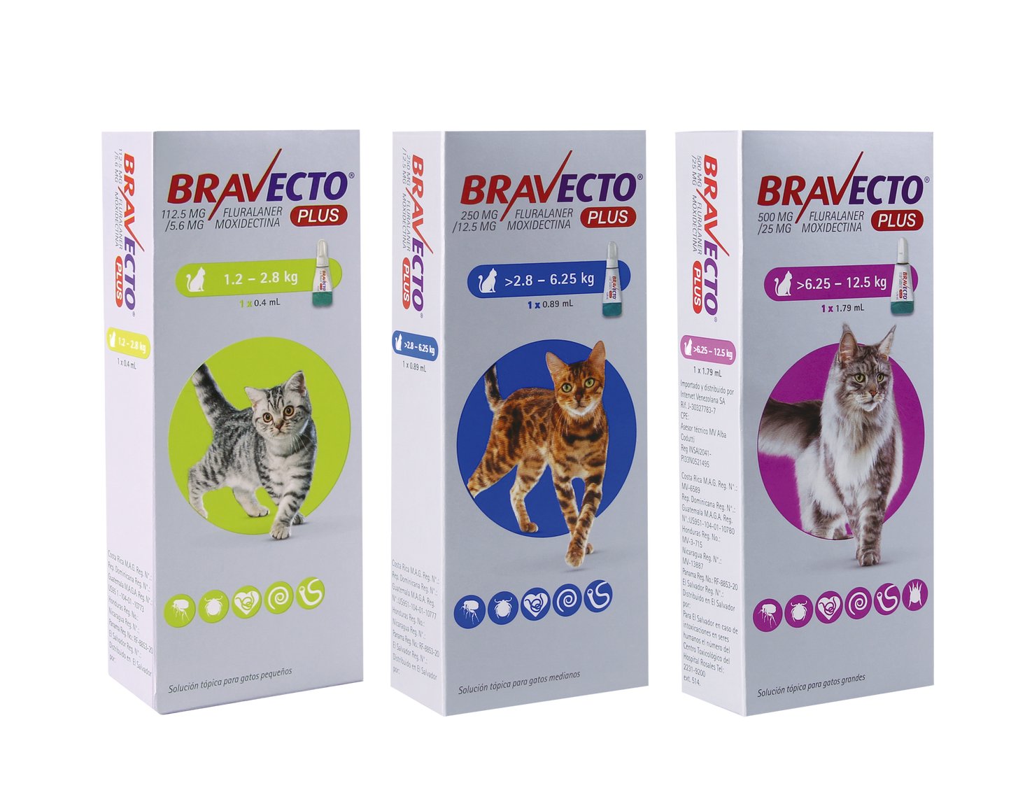 Bravecto Plus para gatos — tres presentaciones oficiales por peso