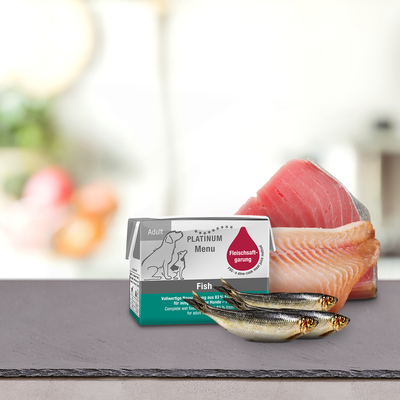 Platinum Menu Adult Fish · envase de 90 g (foto oficial)