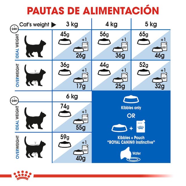 ROYAL CANIN | Alimento seco para gatos adultos Indoor27