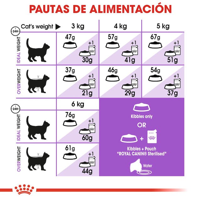 ROYAL CANIN | Alimento seco para gatos adultos Sterilized37