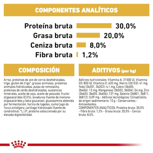 ROYAL CANIN | Alimento seco para perros cachorros Bulldog francés
