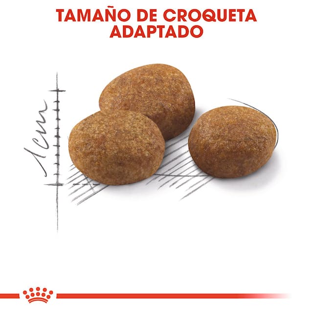 ROYAL CANIN | Alimento seco para gatos maduros esterilizados Sterilized7+