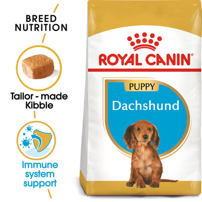 ROYAL CANIN | Alimento seco para perros cachorros Dachshund — imagen oficial 2
