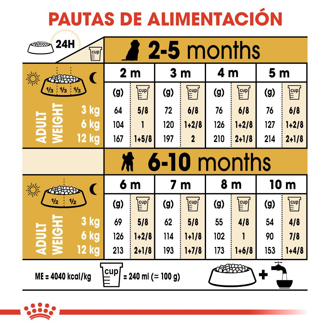 ROYAL CANIN | Alimento seco para perros cachorros Poodle — imagen oficial 4