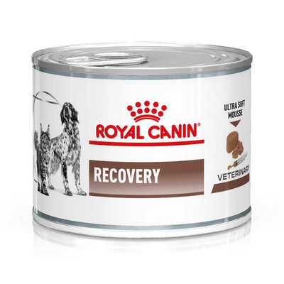 Royal Canin Recovery lata · lata frontal