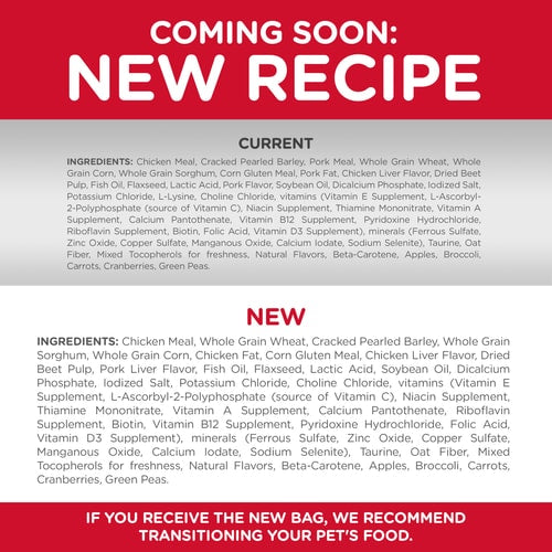 Hill's Science Diet | Alimento seco para perros cachorros Puppy Small Bites. Receta de pollo y cebada