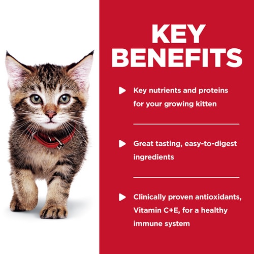 Hill's Science Diet | Alimento húmedo para gatitos Kitten Tender Chicken Dinner (Pack de 6 sobres de 79.39g)