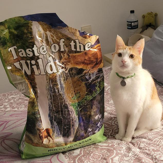 Taste of the Wild | Rocky Mountain gatos con venado asado y salmón ahumado