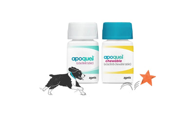 Apoquel y Apoquel masticable de Zoetis, presentaciones oficiales