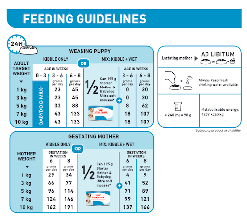 ROYAL CANIN | Alimento seco para perras madres de razas pequeñas Starter Mother & Babydog