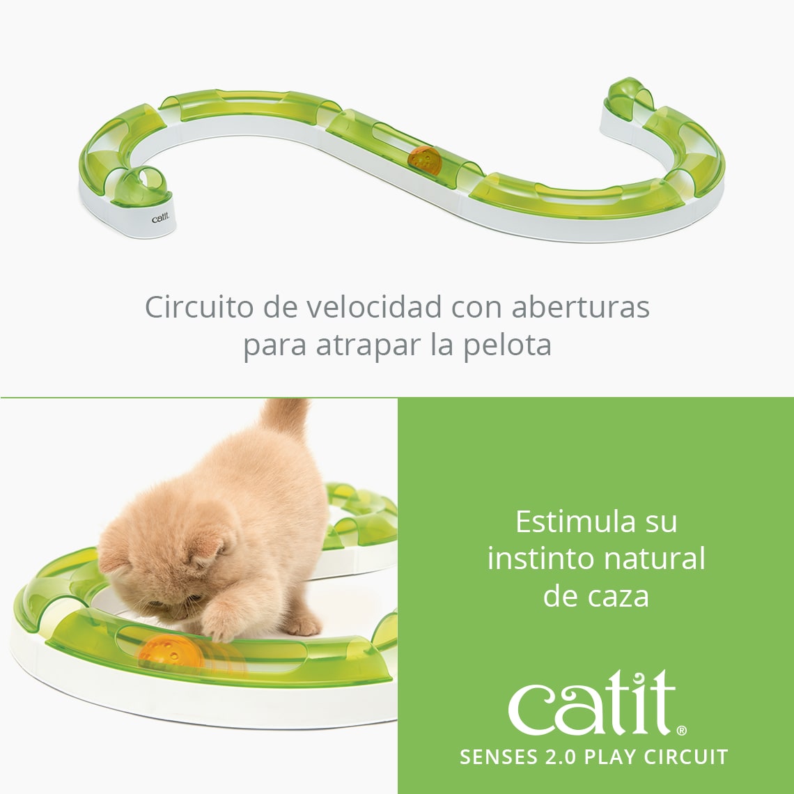 Catit | Circuito de juegos Senses 2.0 Play Circuit