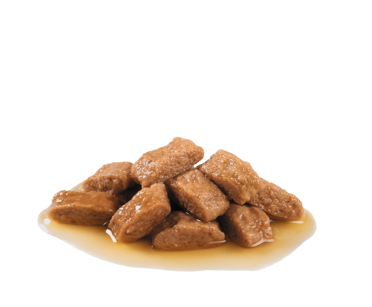 ROYAL CANIN | Alimento húmedo para perros adultos de razas medianas en salsa (Pack de 10 bolsitas de 140g)