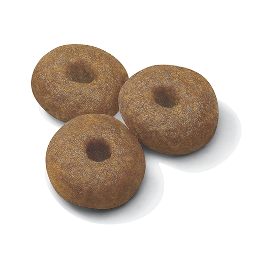 ROYAL CANIN | Alimento seco para perras madres de razas grandes Starter Mother & Babydog