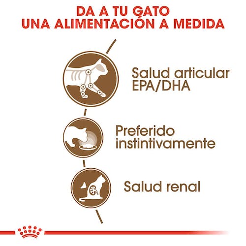 ROYAL CANIN | Alimento húmedo para gatos sénior en salsa (Pack de 12 bolsitas de 85g) (DESCONTINUADO)